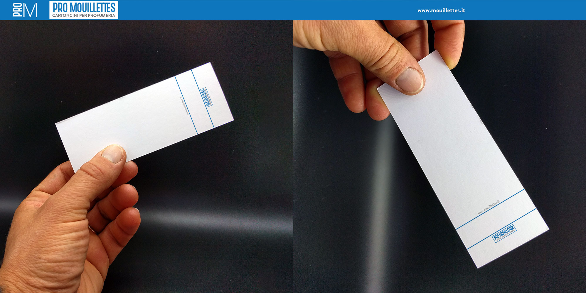 Larghe, bianche, 5.000 pz - immagine 3